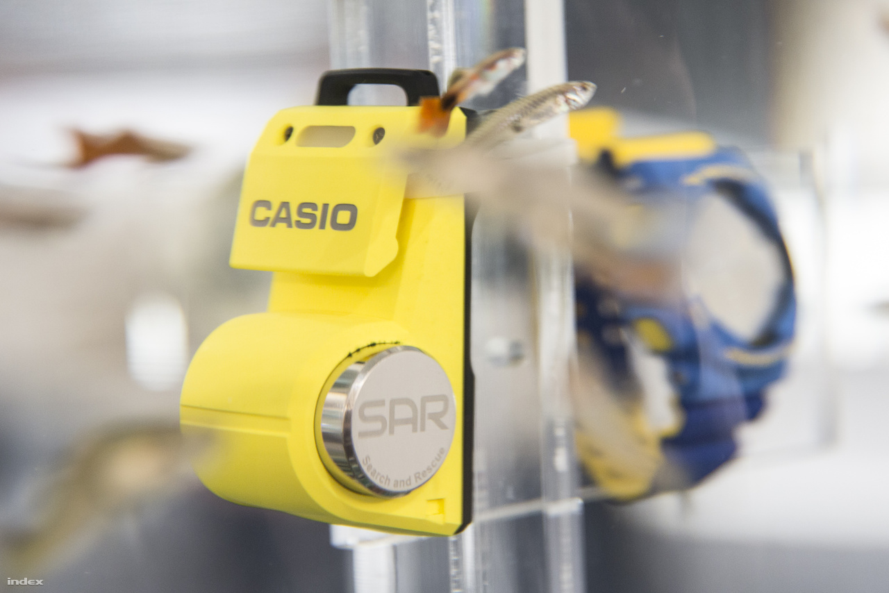 A Casio Logosease SAR (Search and Rescue) egy vízalatti walkie-talkie, amivel búvárok merülés közben is tudnak egymással kommunikálni.