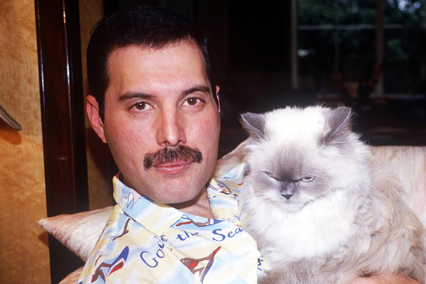 Freddie Mercury utolsó fotója - Még itt sem beszélt a halálos betegségéről