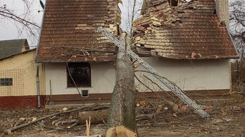 Kettévágott egy kidőlt fa egy családi házat Üllőn