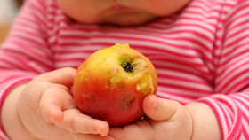 Hozzátáplálás: a tuti sorozat arról, mivel etesd a babát