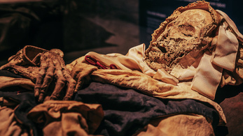 The mistery of the heartless Hungarian mummy