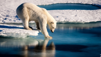 Rekordsebességgel melegszik az Északi-sarkvidék, ami nálunk is szélsőséges időjárást okoz