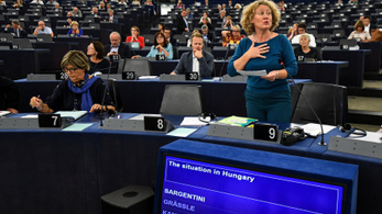 Az EP elé viszi a magyar tüntetések témáit Sargentini