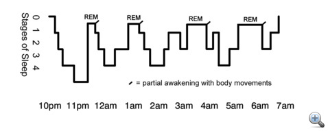 A bal oldali oszlop az alvás mélységét jelzi (0-éber, 4-mély álom), míg a vízszintes diagram a 22.00-07.00 közötti időben mutatja az egyes fázisok mélységét. A pozícióváltások, mozgások kis pálcikával jelöltek. Sajnos a helyzet nem ennyire egyértelmű mindenkinél.