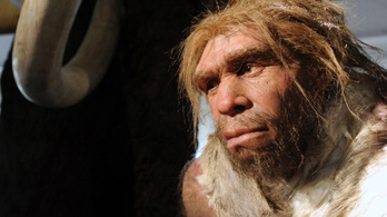 Ma is élnek köztünk neandervölgyi-fejű emberek