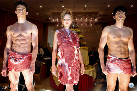A hírügynökség 2003-ban még az ál-húsdresszeket megalkotó kínai divatcég nevét sem tartotta fontosnak megemlíteni. Csak annyit tudunk, hogy a bemutató december 30-án volt