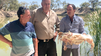 Milliónyi döglött hal miatt bűzlik két ausztrál folyópart