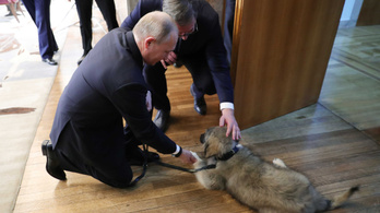 Putyin egy kutyát kapott ajándékba a szerb elnöktől