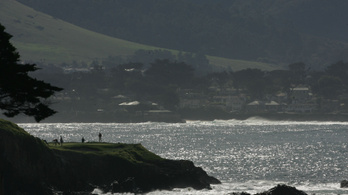 2,5 tonna golflabdát halásztak ki a kaliforniai Monterey-öbölből