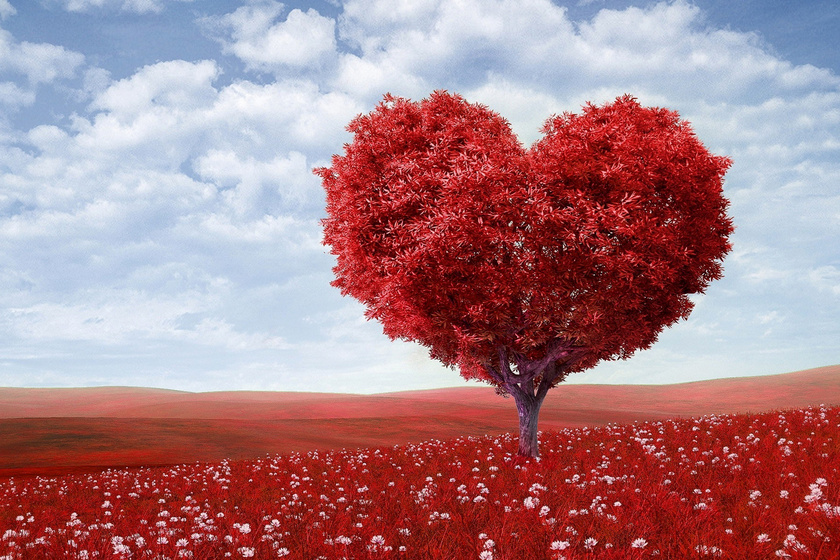 Ne csak a kedvesedet szeresd Valentin-napon: a Földnek is szüksége van a törődésre