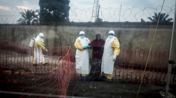 Több mint ötszázan haltak meg eddig a kongói ebolajárványban