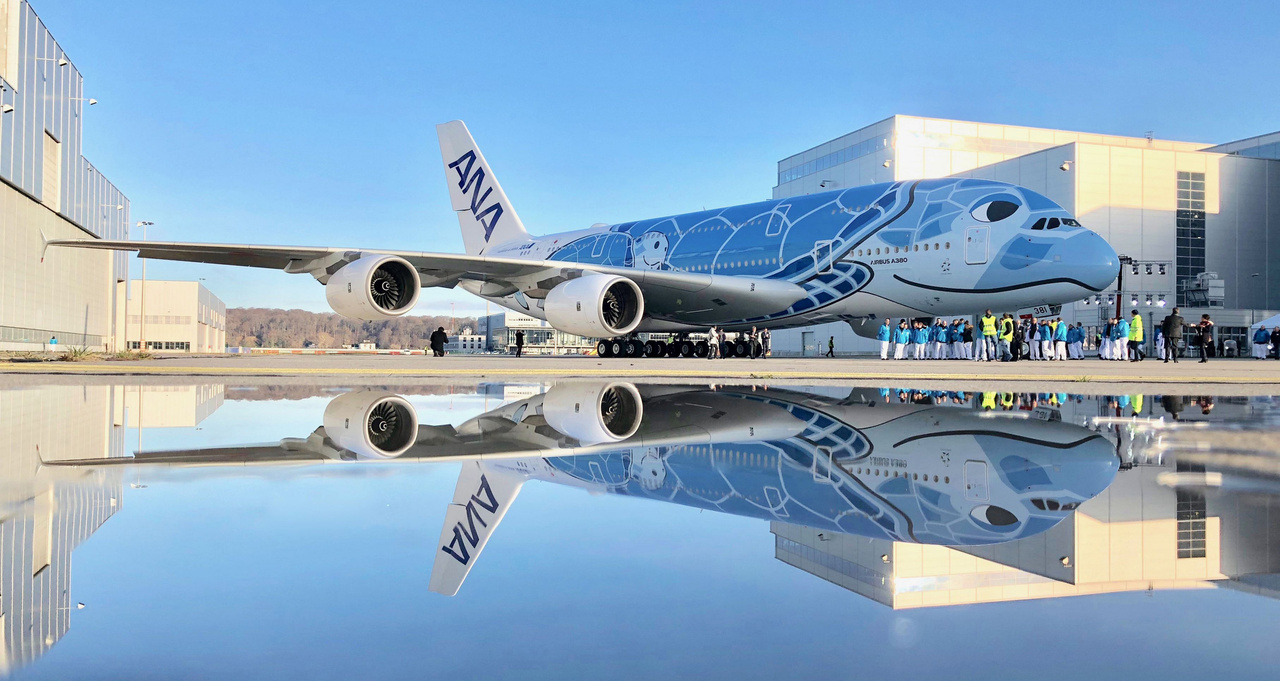 Az All Nippon Airways meglehetősen bonyolult, hawaii teknőst ábrázoló, 3600 négyzetméternyi felületet befedő festése 21 napig készült. Az ANA három A380-ast rendelt, mindhármat a speciális, kék, zöld és narancs verziójú festéssel. A kéket 2018. december 13-án fejezték be, ekkor még talán nem is tudták, hogy az utolsó A380-as szériák egyike került ki kezük alól.
                        