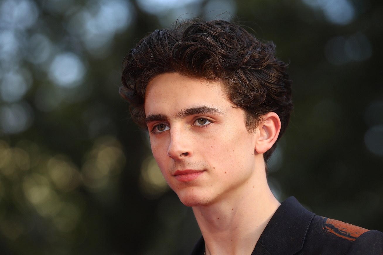 timothee-chalamet-budapest-cover
