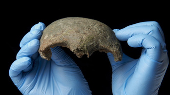 5600 éves koponyát ásott ki egy amatőr a Temze iszapjából