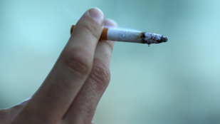 Sásik Csaba Allen Carr: Leszokni a dohányzásról? Így könnyű! Töltse le most Torrentt