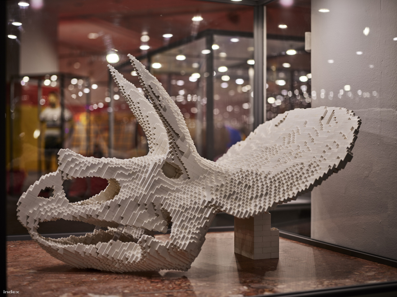 68 millió évvel ezelőtt éltek a földön a triceratopsok. A Kréta-kor nevezetes őshüllőjének Legoból készült koponyáját először 3D-s szoftverrel alkották meg, majd Lego-tervező programmal realizálták a végső építési tervet.