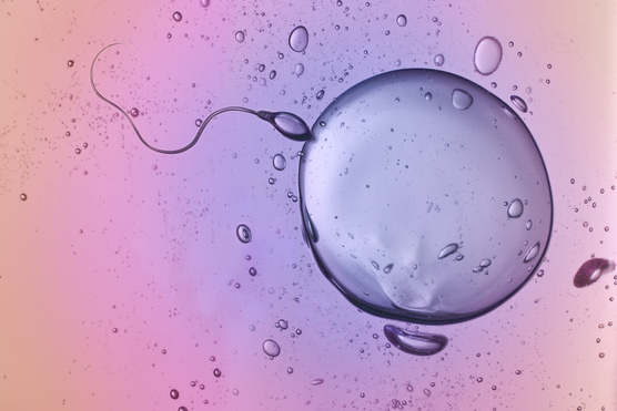 Feleannyi spermiummal kéne elboldogulni, mint 50 éve
