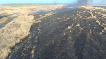 200 hektár természetvédelmi terület pusztult el a tűzben Farmoson