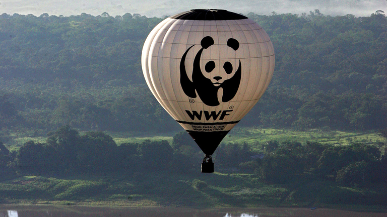 A WWF megvédi a pandákat, de megkínozza a helyieket?