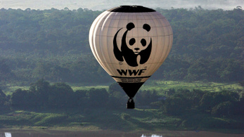A WWF megvédi a pandákat, de megkínozza a helyieket?