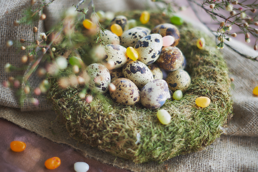 Csodaszép húsvéti dekorációk fészekkel és tojással: nagyon könnyen elkészíthetőek