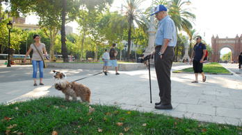 Az időskori kutyasétáltatás miatt nagyobb a csonttörés kockázata