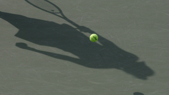 8,8 millió forintot kért a teniszszövetség adatközlésért