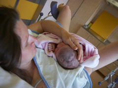 Szülj a Feketeerdő-klinikán! Kórházfigyelő Németországból