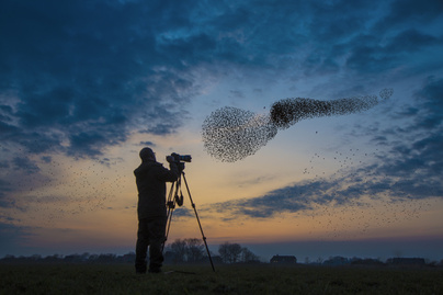 Csodálatos képeken hazánk vadvilága: világhírű magyar fotós készítette őket