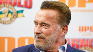 A nap képe: Schwarzeneggernek csak a szakálla ősz