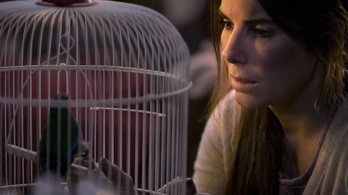 Behódolt a Netflix, kivágja a Bird Box egyik felháborító jelenetét