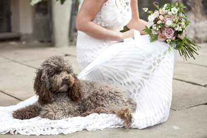 Esküvői fotó kutyával? 8 nem giccses ötlet, amit mutass meg a fotósnak