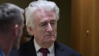 Életfogytiglanra súlyosbították Karadžić büntetését