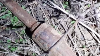 Elloptak egy gránátot a tűzszerészek elől a vértesszőlősi erdőben