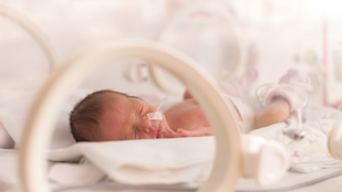 5 hónapig senki nem jött egy kisbabához a kórházba, egy nővér örökbefogadta