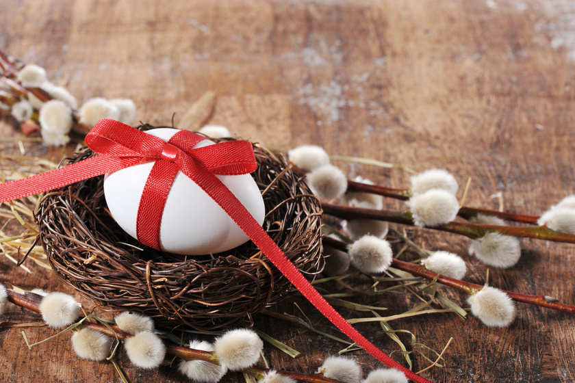 Miért fontos, hogy legyen húsvétkor barka otthon? Ezt tartja róla a néphagyomány