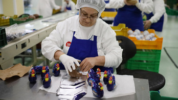 Magyar gyárban készülnek Európa csokinyulai