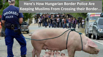 Az az álhír terjed a neten, hogy a magyarok disznóval védik a határt a muszlimoktól
