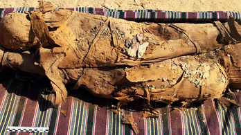 Legalább 34 múmiára bukkantak egy egyiptomi sírban
