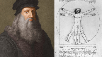 Kiállítják Leonardo da Vinci haját