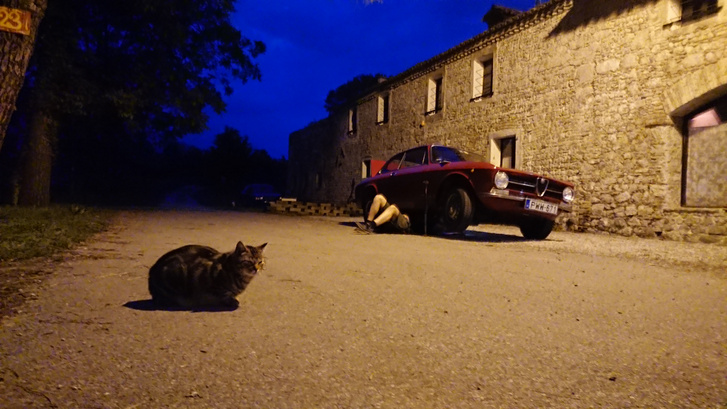 A képen látható macska, később odament megvizsgálni, hogy mi a franc olyan érdekes a kocsi alatt