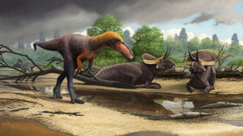 A T. rex törpe, gyilkos elődjét azonosították