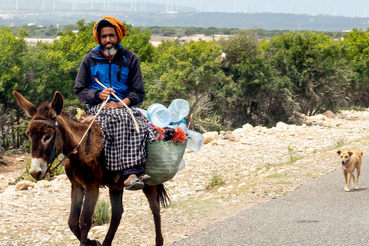 A marokkói utak szentháromsága: autósokra mosolygó fekete szamárháton, nyomában kutyával 