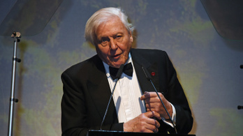 Ma 93 éves David Attenborough, az ismert zenei producer
