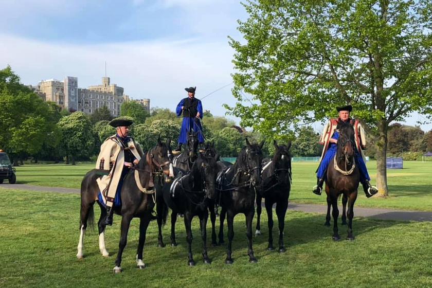 Óriási büszkeség! A brit királyi család előtt ügettek a gyönyörű hortobágyi lovak