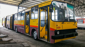Még mindig egyben van a leghosszabb magyar busz