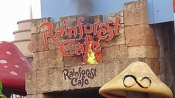 Kigyulladt egy kávézó Disneylandben, a turistákat evakuálták