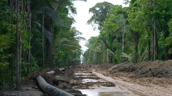 A brazil kormány nem hisz a klímaváltozásban, gyorsul is az amazonasi esőerdők irtása