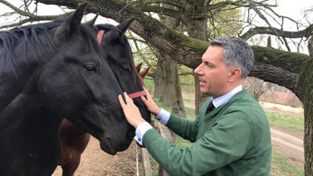 Függetlenként indul Mezőhegyesen Lázár János jelöltje a Fidesz polgármester-aspiránsával szemben