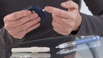 Biohekkerek dolgoznak az olcsóbb inzulin előállításán
